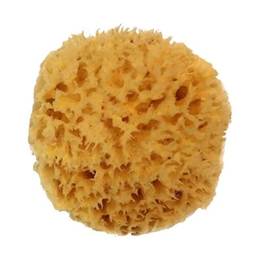 Natural Sea Wool Sponge 4-5" by Spa Destinations ( r ) Amazing Natural Renewable Resource" Creating The in Perfect Bath and Shower Experience"