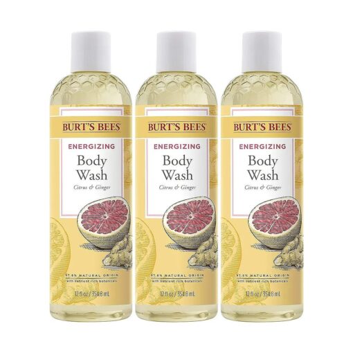 BurtaEUR ( tm ) s Bees Citrus & Ginger Body Wash, 12 Oz ( Pack of 3 )