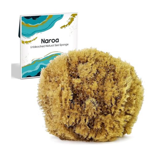 Exfoliating Natural Sponge for Bathing | Bath Sea Sponge for Healthy Skin | Unbleached Shower Body Scrubber Puff | Eco Friendly Plastic Free Sponge ( Exfoliate - Medium )