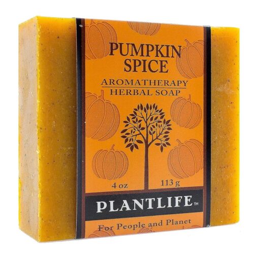 Plantlife Pumpkin Spice Bar Soap - Moisturizing and Soothing Soap for Your Skin - Hand Crafted Using Plant-Based Ingredients - Made in California 4oz Bar