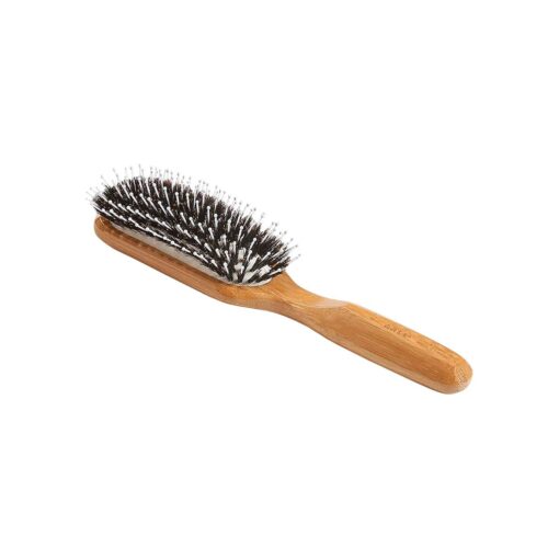 Bass Brushes Professional Brush, 1 EA