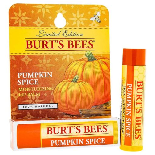 Burt 's Bees Lip Balm Blister, Pumpkin Spice, 0.15 Ounce