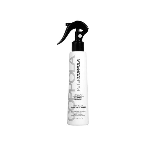 Just Blow - Blow Dry Spray - Heat Protectant Spray for Hair Reduces Blow Dry Time, Anti Frizz, Smoothes and Straightens all Hair Types - Conditions and Adds Shine - 6 oz