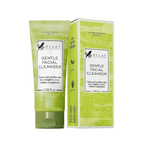 Gentle Facial Cleanser - Green Tea Face Wash + Aloe Vera, Vitamin C & E, All Natural Face Wash for Deep Cleansing - Hydrating & Nourishing Green Tea Cleanser, Moisturizing Face Wash for All Skin Type