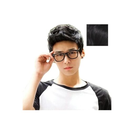 BERON Cool Men Boys Short Synthetic Wig for Cosplay Party Photo Come with Wig Cap ( Black )