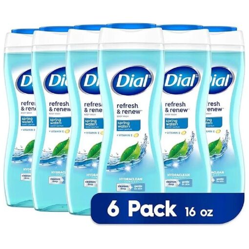 Dial Body Wash, Refresh & Renew Spring Water, 16 fl oz, Pack of 6