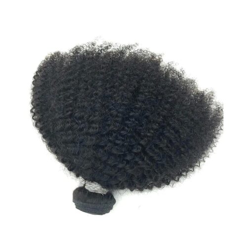 Brazilian Afro Kinky Curly Hair Extension 8-22inch 4B 4C 1 Bundle 100g Brazilian Virgin Remy Human Hair Weaves Natural Black Color ( 1 bundle 10inch, natural black )