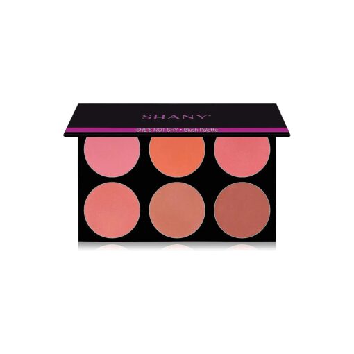 SHANY The Masterpiece 6 Colors Large Makeup Blush Palette - SHE 'S NOT SHY