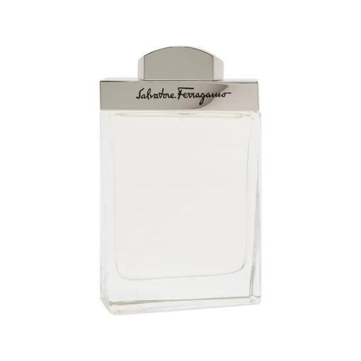 Salvatore Ferragamo By Salvatore Ferragamo For Men, Eau De Toilette Spray 3.4 Ounces, 3.4 fl, oz .