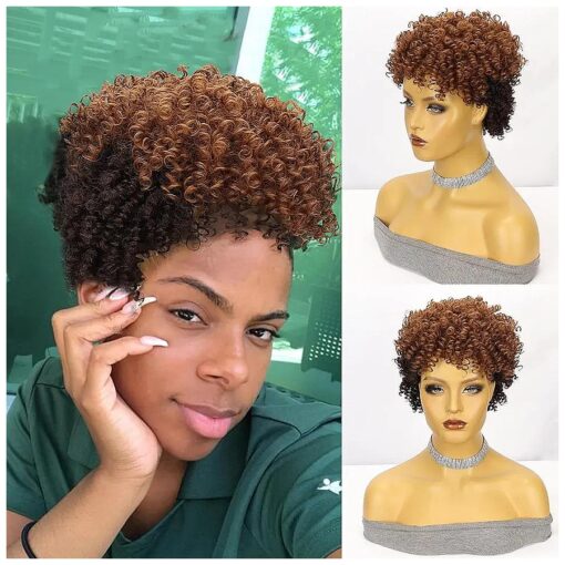 CINHOO Afro Kinky Curly Wigs for Black Women Short Curly Wig, Mullet Wigs for Women Synthetic Hair Wigs with Bangs African American Twist Wigs for Black Women Natural Looking Wigs ( chocolate and Brown )