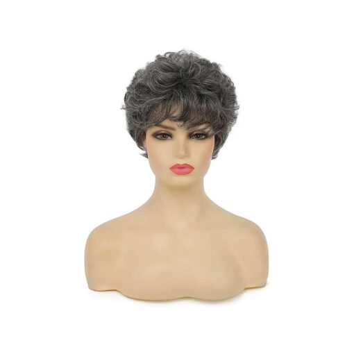 Baruisi Short Curly Grey Wigs for Women Natural Looking Synthetic Cosplay Replacement Hair Wig, Dark Grey