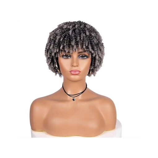 Curly Afro Wig, Kinky Curly Synthetic Grey Wigs for Blcak Women Afro Kinky Curly Wig with Bangs Curly Cosplay Wigs ( Silver Grey )