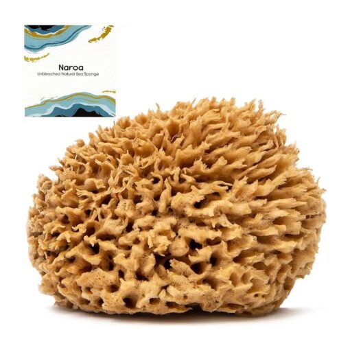 Soft Natural Sponge | Gentle Sea Sponge for Bathing Healthy Skin | Unbleached Shower Body Scrubber Puff | Eco Friendly Bath Spa Sponge ( Soft - X Large )