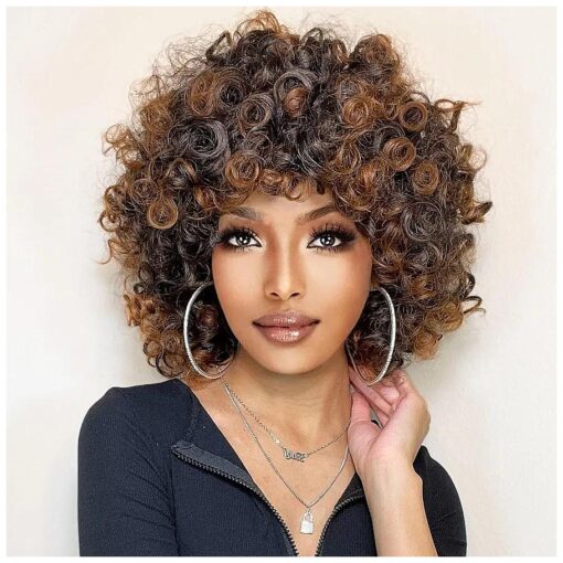 Curly Wigs for Black White Women 14 Inch Curly Wig with Bangs For Black and Withe Women Kinky Curly Wig Heat Resist Soft Synthetic Fiber Afro Wigs Loose Curly Hair Soft Wigs for Daily Party ( brown )