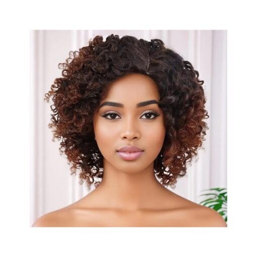 GNIMEGIL Ombre Brown 70s Afro Wigs for Women Short Curly Wigs with Side Bangs Synthetic Kinky Wig Natural Hair African American Wigs for Black Women Cosplay Party Halloween Costume