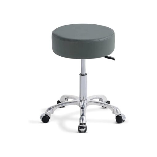 Swivel Rolling Stool Round Chair, Thick Sturdy Padding, Adjustable Stool with Wheels for Doctor, Medical, Massage Salon, Office, Shop ( no Back, Gray )