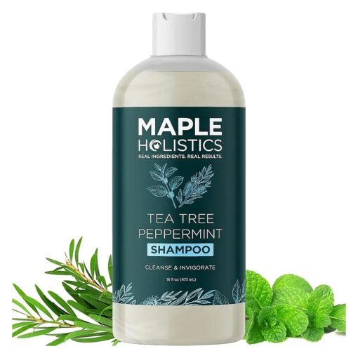 Rosemary Tea Tree Mint Shampoo - Clarifying Shampoo for Build Up and Flakes with Peppermint Oil and Tea Tree Essential Oil for Dry Scalp Treatment - Deep Cleansing Peppermint Tea Tree Shampoo ( 16oz )