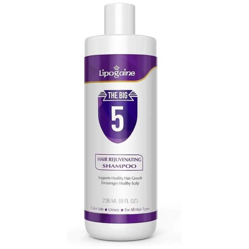 Big 5 Hair Stimulating All Natural Shampoo for Hair Thinning & Breakage ( purple ) ( 16oz )