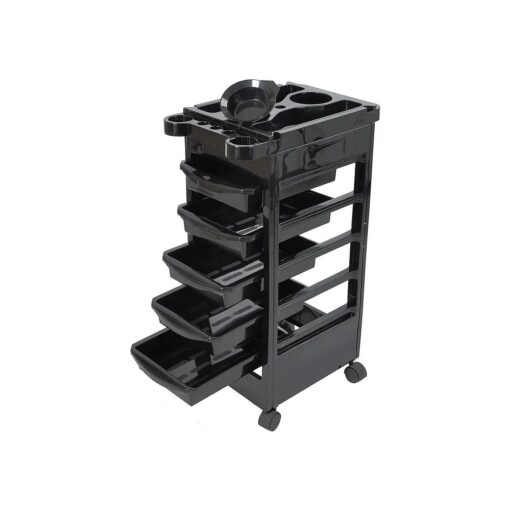 BYOOTIQUE Salon SPA Trolley Storage Cart Coloring Beauty Salon Hair Dryer Holder with 5 Drawers for Tool Storage