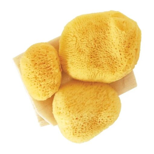 Premium Ultra Soft Sea Pearls Reusable Sea Sponges - Multi Pack