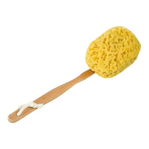 Bath & Shower Body Brush, Long Handled, Faux Sea Sponge Back Scrubber