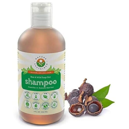 Natural Shampoo - Organic, Raw & Wildcrafted with Probiotics, Hypoallergenic Natural & Sulfate Free Shampoo for Sensitive Scalp, Dry Hair, Dandruff, Eczema & Psoriasis, 9oz, Original